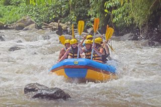 Ayung river is the most popular river for rafting trip in Bali. Located in Ubud, with 12km long, with light to medium levels( 2 - 3 ) of rafting difficulty. You need around two hours to finish Ayung river rafting. Let's join us! Book Now!

RSV : +6281805638484
www.ubudraftingbali.com

#raftingdiubud #raftingayungriver #raftinginubud #raftinginbali #raftingdibali #ubudrafting #balirafting #traveltobali #visitbali #tripbali #balivacation #baliholiday #balitravel #travelblogger #bali2022 #balitour #baliguide #bali #ubud #rafting #liburanbali #liburan #ideliburan #holiday #staycation #baliisland #instagood #instagram